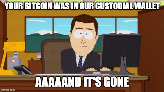 illustration of crypto custody and the irreversible nature of cryptocurrency transactions with a southpark meme