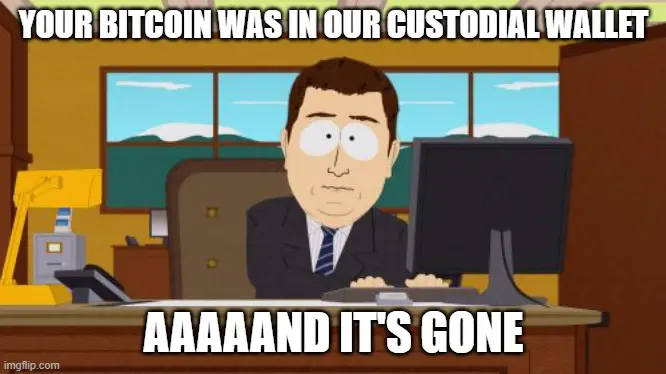 illustrating crypto custody and the irreversible nature of cryptocurrency transactions with a southpark meme illustration of crypto custody and the irreversible nature of cryptocurrency transactions with a southpark meme.jpg
